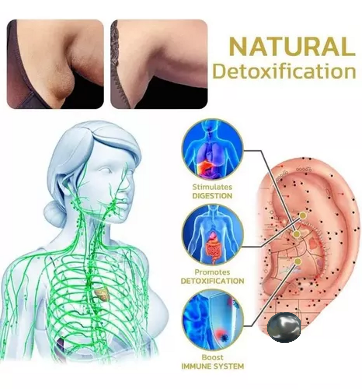 ARETES TERAPEUTICOS MAGNETICOS ADELGAZANTES 🔥 CONTROL DE OBESIDAD, DIABETES, ANSIEDAD