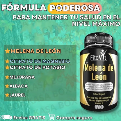 40% DE DCTO EN MELENA DE LEÓN✨El hongo milagroso para tu cerebro🧠 y salud / Frasco x 60 Cápsulas 360 mg