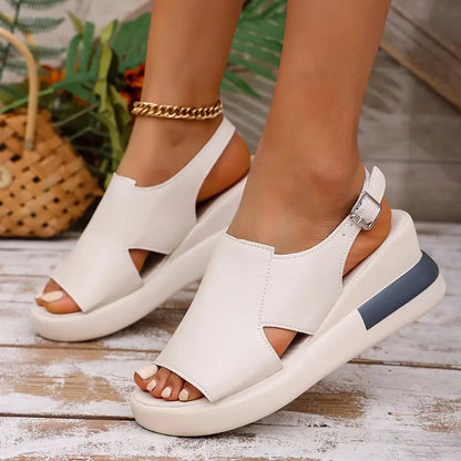 👡SANDALIAS ORTOPÉDICAS FLEXCONFORT SUAVIDAD Y ESTILO🌹