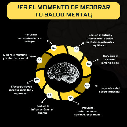 40% DE DCTO EN MELENA DE LEÓN✨El hongo milagroso para tu cerebro🧠 y salud / Frasco x 60 Cápsulas 360 mg
